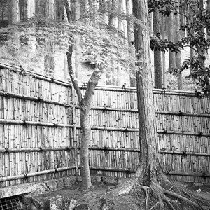 Photographer Jane Brown is exhibiting her series 'Black Ships' at Stills Gallery in Sydney in April